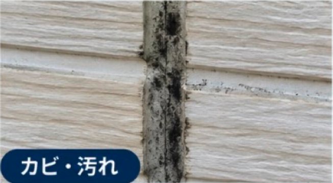 カビ・汚れの例