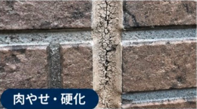 肉やせ・硬化の例